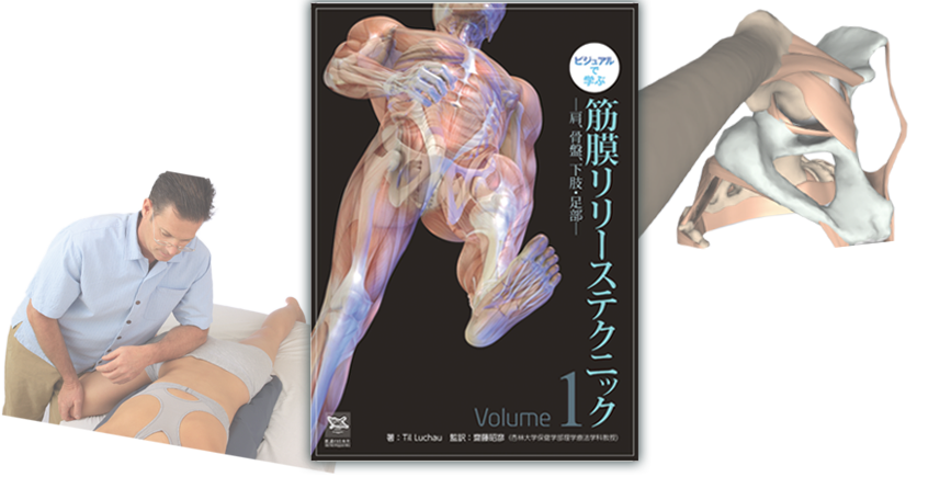 ビジュアルで学ぶ 筋膜リリーステクニック Vol.1 ―肩、骨盤、下肢・足部―