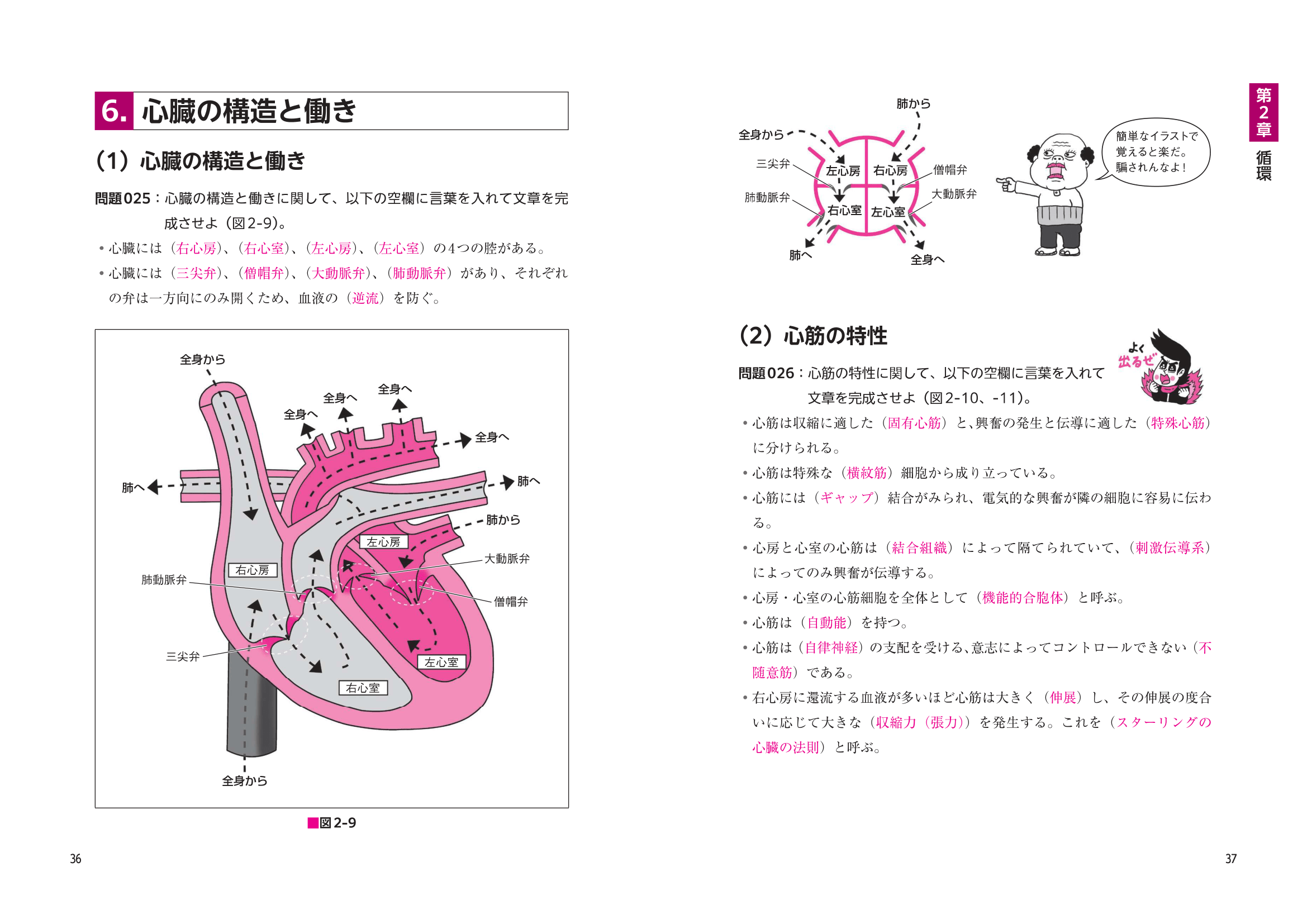 新刊のおしらせ】『よく出るぜ！ここがポイント でる兄 正鵠の生理学
