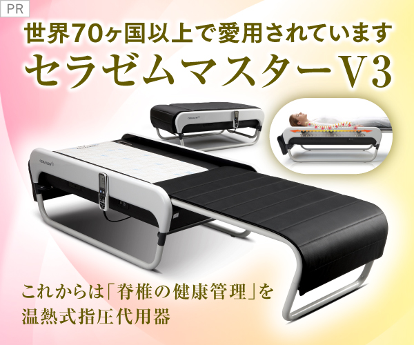 【有料】右バナー広告（大）【プラスプ】