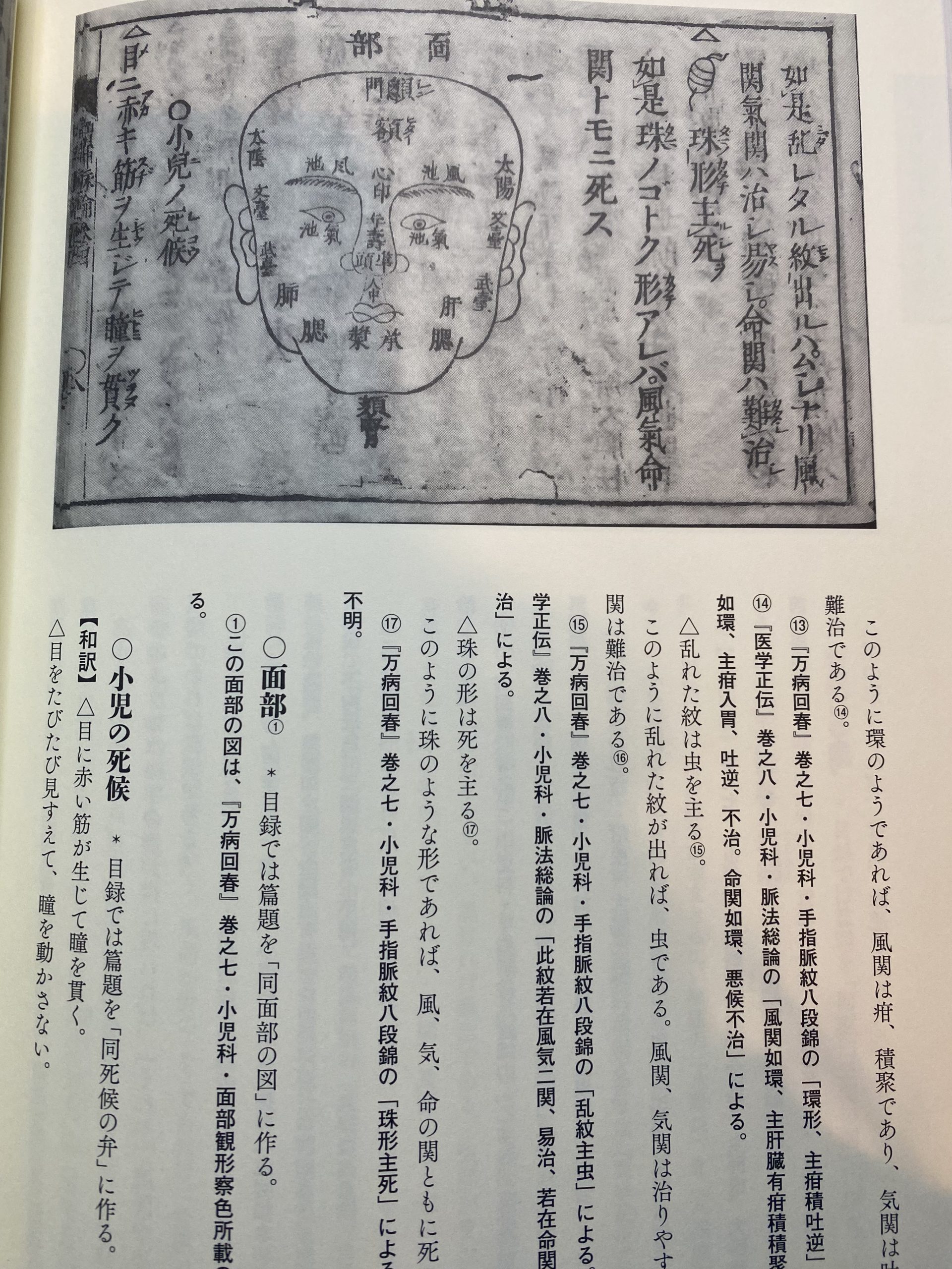 書籍紹介】脈診のルーツがここにある。戦国時代の名医が築いた脈診の