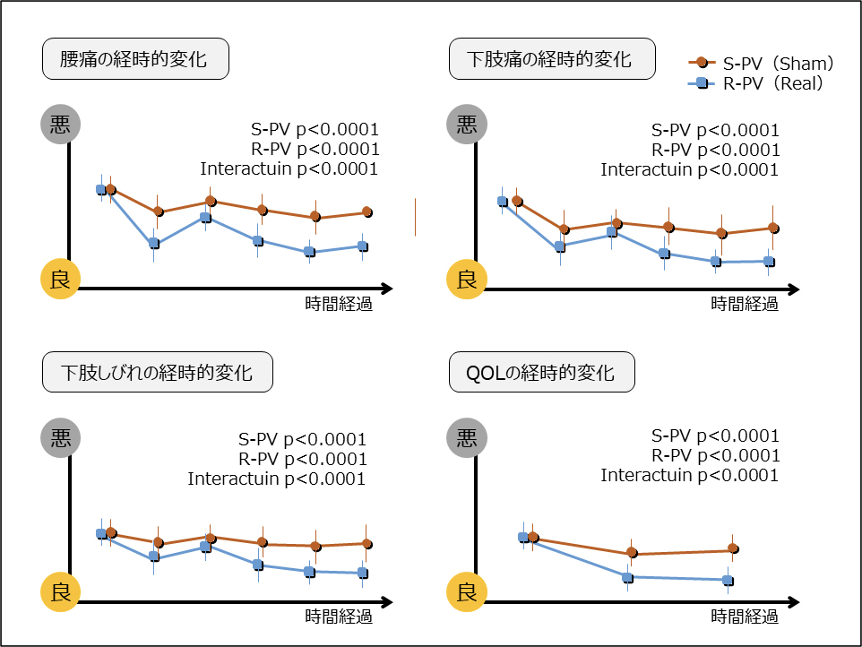 傍脊柱筋のエクササイズ