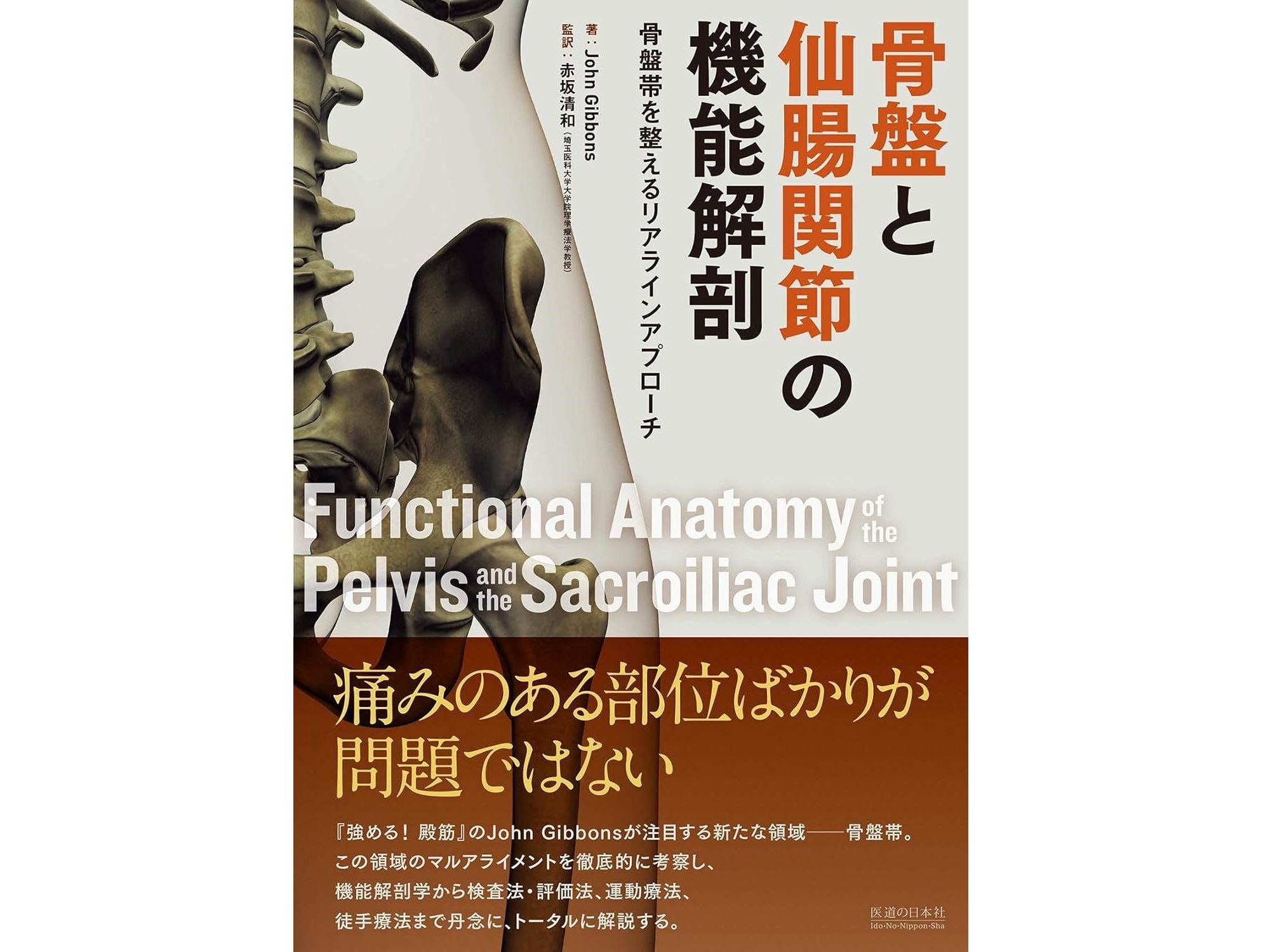 【書籍紹介記事】英国オックスフォードの著名な臨床家John Gibbonsが注目する新たな領域！「骨盤と仙腸関節の機能解剖」