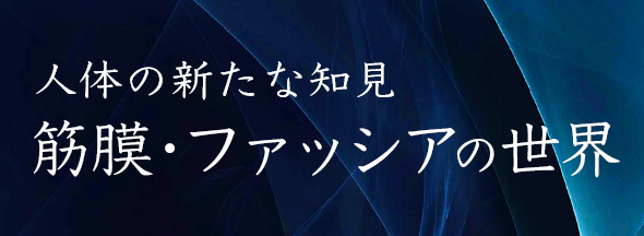 右バナー広告（小）筋膜シリーズ