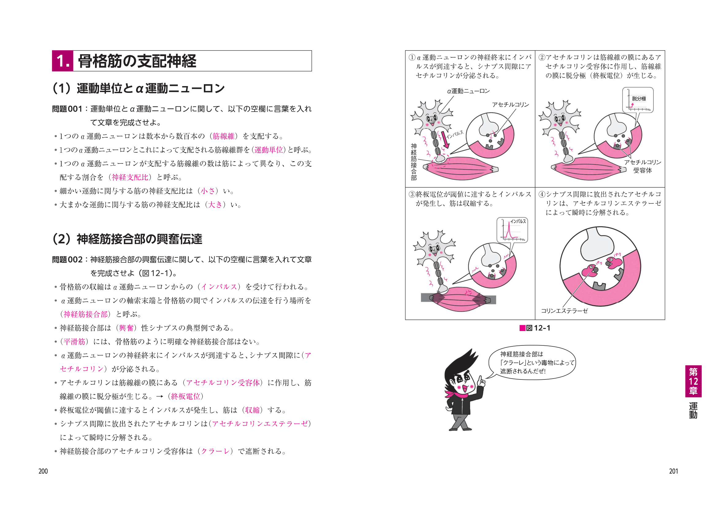 新刊のおしらせ】『よく出るぜ！ここがポイント でる兄 正鵠の生理学