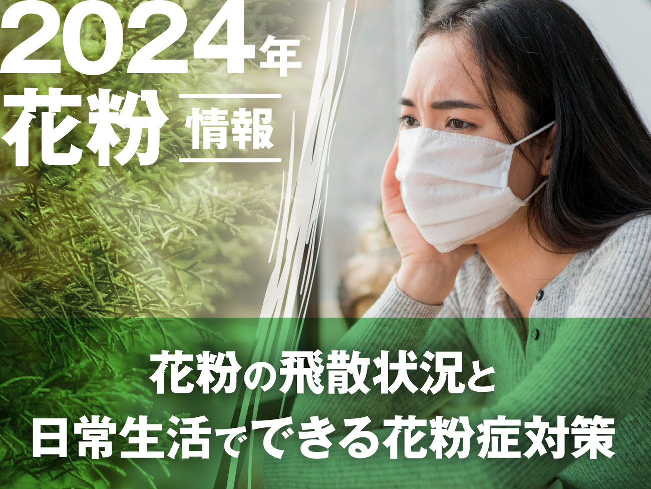 【マメ情報】花粉の飛散状況と日常生活でかんたんにできる花粉症対策〈2024年〉